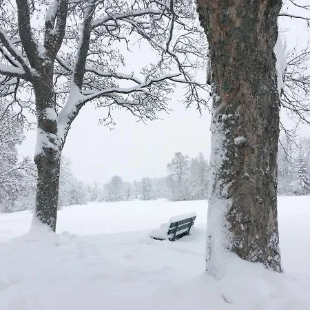 Sunny Freudenstadt Zewnętrze zdjęcie